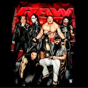 Vintage 2015 WWE RAW Tee Sz (XL) Bray Wyatt Sting Lesnar Rollins Roman Reigns